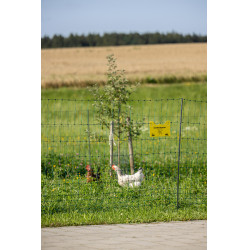 Premium-Geflügelnetz AKO Grün Grün Premium-Geflügelnetz AKO Grün Grün