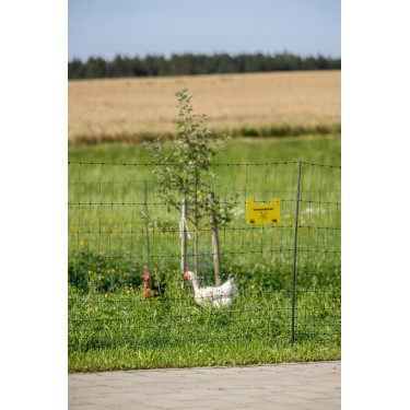 Premium-Geflügelnetz AKO Grün Grün Premium-Geflügelnetz AKO Grün Grün