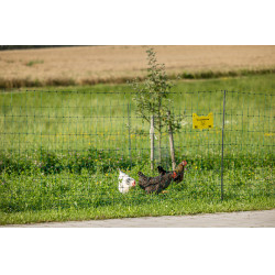 Premium-Geflügelnetz AKO Grün Grün Premium-Geflügelnetz AKO Grün Grün