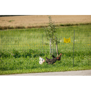 Premium-Geflügelnetz AKO Grün Grün Premium-Geflügelnetz AKO Grün Grün