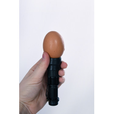 LED-Eierprüfer Kerbl Hobbyfarming Schwarz