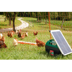 Mobil Power AD 2000 digital AKO Grün Grün Mobil Power AD 2000 digital AKO Grün Grün