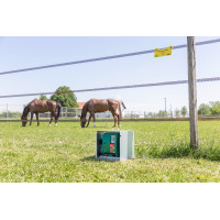 Mobil Power AN 4000 AKO Grün Gr&uuml;n