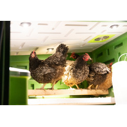 Mobile Geflügelstall Kerbl Hobbyfarming Grün / Weiß Gr&uuml;n