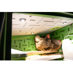 Mobile Geflügelstall Kerbl Hobbyfarming Grün / Weiß Gr&uuml;n