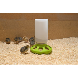 Futterautomat für Wachteln Kerbl Hobbyfarming Hellgrün Gr&uuml;n