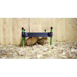 Heizplatte für Küken CosyHeat Kerbl Hobbyfarming Schwarz / Grün