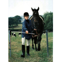 Elektrisches Tor Electro Gate AKO Schwarz Elektrisches Tor Electro Gate AKO Schwarz