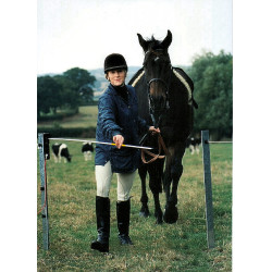 Elektrisches Tor Electro Gate AKO Schwarz