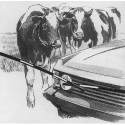 Elektrisches Tor Electro Gate AKO Schwarz