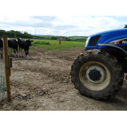 Elektrisches Tor Electro Gate AKO Schwarz