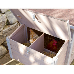 Hühnerstall Emma Kerbl Hobbyfarming Natürlich Braun