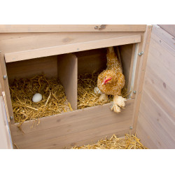 Hühnerstall Emma Kerbl Hobbyfarming Natürlich Braun