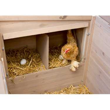 Hühnerstall Emma Kerbl Hobbyfarming Natürlich Braun