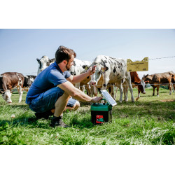 Power Shock B 290 AKO Grün Grün Power Shock B 290 AKO Grün Grün