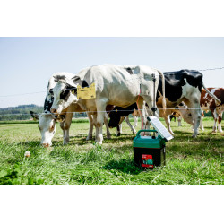 Power Shock B 290 AKO Grün Grün Power Shock B 290 AKO Grün Grün