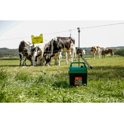 Power Shock B 290 AKO Grün Grün Power Shock B 290 AKO Grün Grün