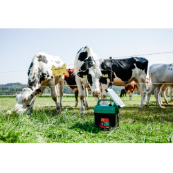 Power Shock B 290 AKO Grün Grün Power Shock B 290 AKO Grün Grün