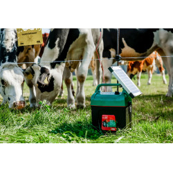 Power Shock B 290 AKO Grün Grün Power Shock B 290 AKO Grün Grün