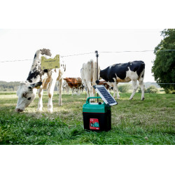 Power Shock B 290 AKO Grün Grün Power Shock B 290 AKO Grün Grün