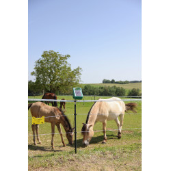 PlatinumLine AKO Weidezaunband Weiß / Blau Weiß