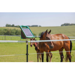 PlatinumLine AKO Weidezaunband Weiß / Blau Weiß