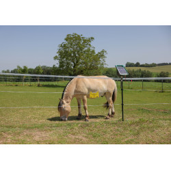 PlatinumLine AKO Weidezaunband Weiß / Blau Weiß