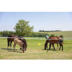 PlatinumLine AKO Weidezaunband Weiß / Blau Weiß