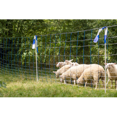 Kerbl Pet Tier-Schutzband Blau / Weiß