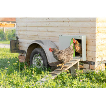 SmartCoop Kerbl Hobbyfarming Hühnerklappe Grau