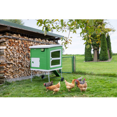 SmartCoop-Steuergerät Kerbl Hobbyfarming Grün Gr&uuml;n