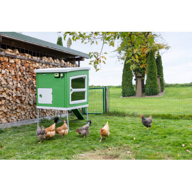 SmartCoop-Steuergerät Kerbl Hobbyfarming Grün Gr&uuml;n