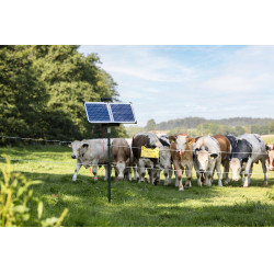 Sun Power S 2400 smart AKO Grün Grün Sun Power S 2400 smart AKO Grün Grün