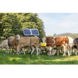 Sun Power S 2400 smart AKO Grün Grün Sun Power S 2400 smart AKO Grün Grün