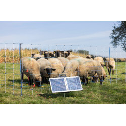 Sun Power S 2400 smart AKO Grün Grün Sun Power S 2400 smart AKO Grün Grün