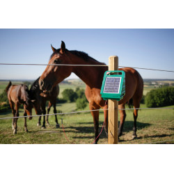 Sun Power S 250 AKO Grün Gr&uuml;n