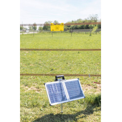 Sun Power S 3000 AKO Grün Gr&uuml;n