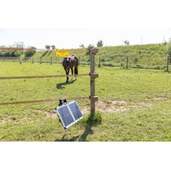 Sun Power S 3000 AKO Grün Gr&uuml;n