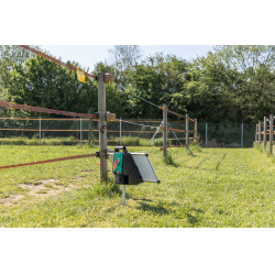 Sun Power S 3000 AKO Grün Gr&uuml;n