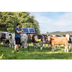 Sun Power S 3000 AKO Grün Gr&uuml;n