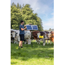 Sun Power S 3000 AKO Grün Gr&uuml;n