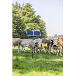 Sun Power S 3000 AKO Grün Gr&uuml;n