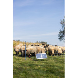 Sun Power S 3000 AKO Grün Gr&uuml;n