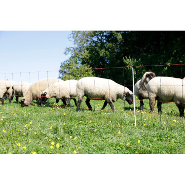 TitanLight Netz Kerbl Hobbyfarming Orange / Schwarz