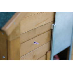 Automatische Steuerungseinheit für Kerbl Hobbyfarming Hühnerklappentür Grün Grün Automatische Steuerungseinheit für Kerbl Hobbyfarming Hühnerklappentür Grün Grün