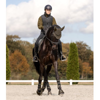 Fliegenhaube Waldhausen St. Gallen Braungrün