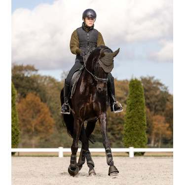 Fliegenhaube Waldhausen St. Gallen Braungrün Fliegenhaube Waldhausen St. Gallen Braungrün