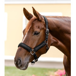 Waldhausen Halfter Soft Touch Schwarz Waldhausen Halfter Soft Touch Schwarz