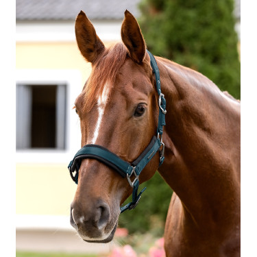 Waldhausen Halfter Soft Touch Petrolblau
