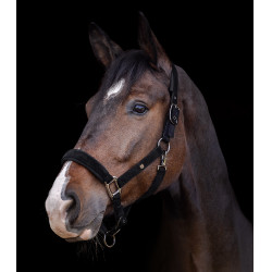 Waldhausen Halfter St. Gallen Schwarz